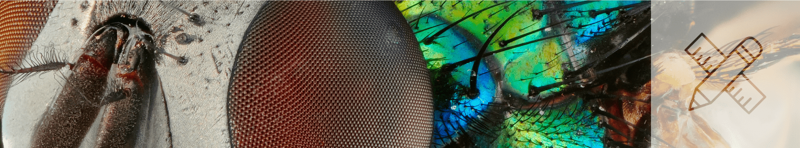 Erstellung grafischer Designs-Grafikdesign Erstellung grafischer Designs-Grafikdesign