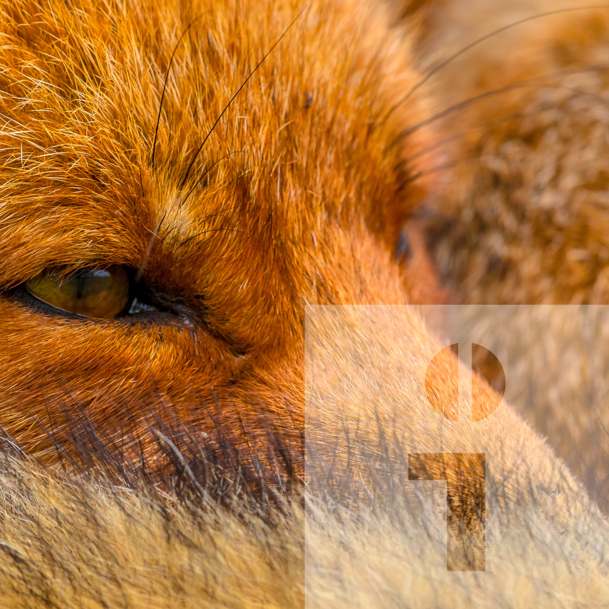 TEAM - HEADER - K.HERMES Grafik & Webdesign TEAM - HEADER - K.HERMES Grafik & Webdesign